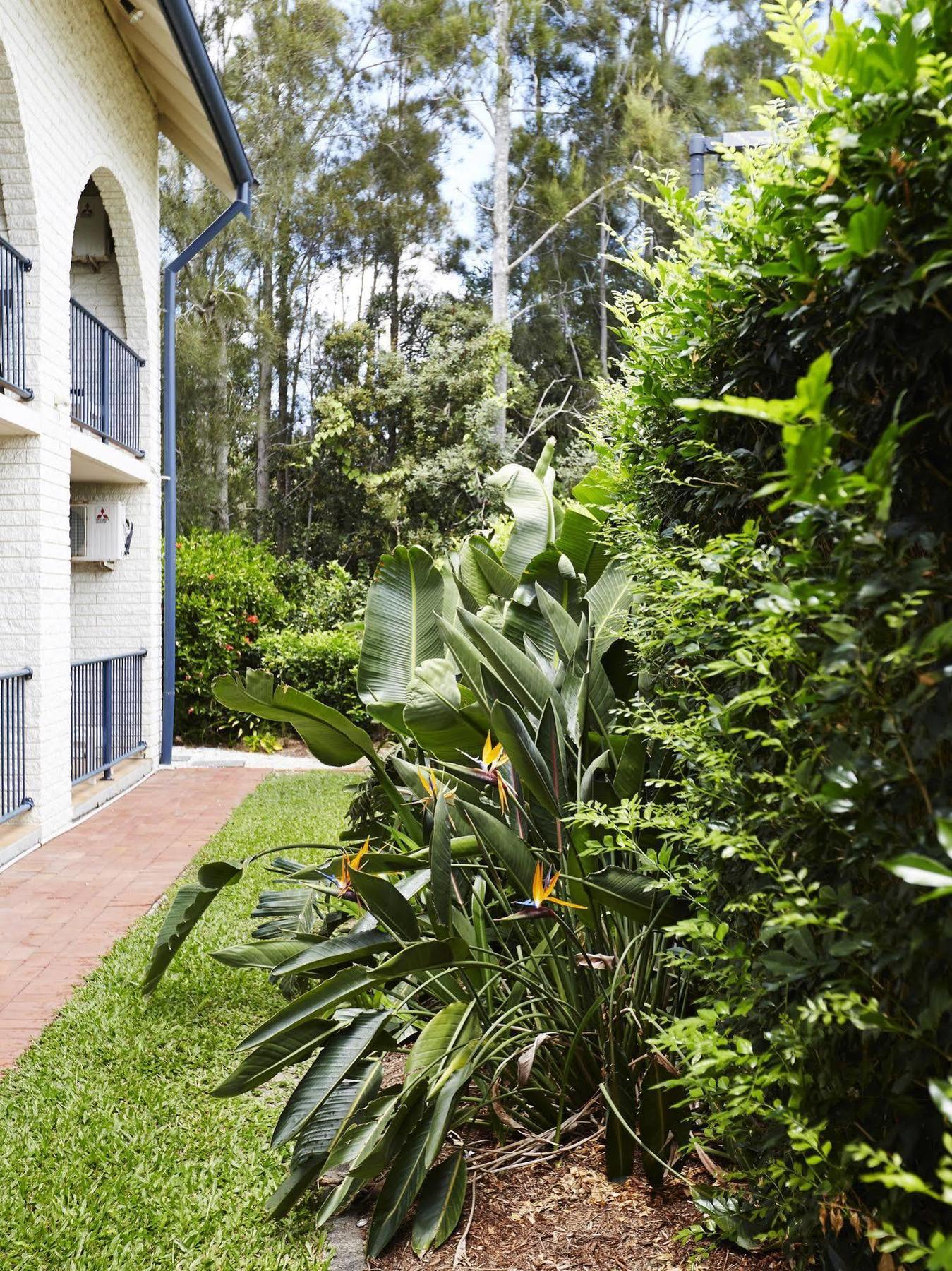 Bay Beach Motel Byron Bay Luaran gambar
